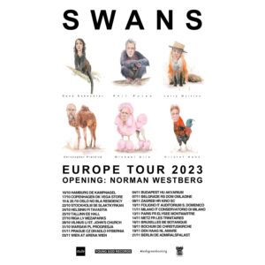 Swans u Kinu SC