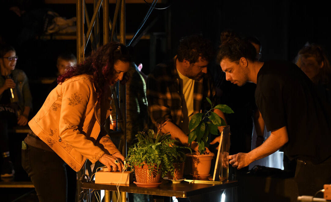 Ovu subotu na Trnju: Toni Starešinić, jam session s biljkama i prirodna kozmetika